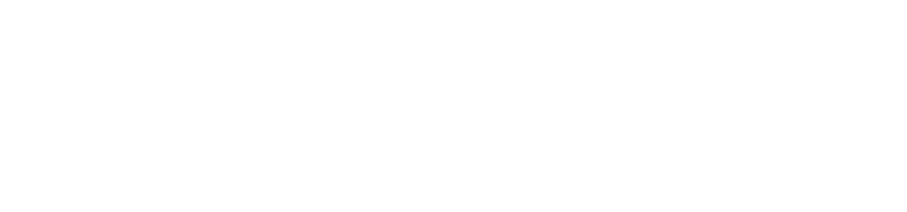 Tenkosoft Logo